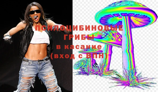 мяу мяу мука Дмитров